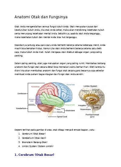 Gambar Otak Beserta Fungsinya Koleksi Gambar