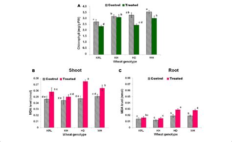 Effects Of Salt Stress On Total Chlorophyll Content A