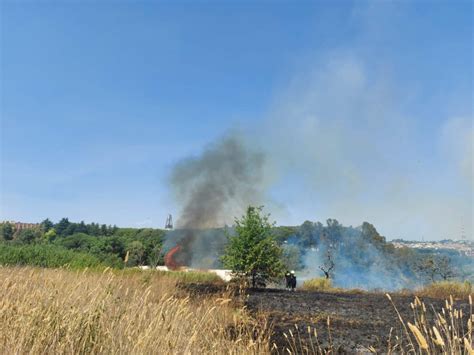 Roma Altro Maxi Incendio Al Parco Del Pineto Radio Colonna