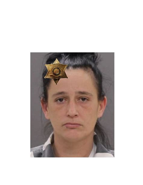 Caledonia Woman Facing Felony Charges Accused Of Raping Teenager