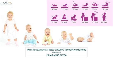 Sviluppo Neonato Mesi Neuropsicomotricista It