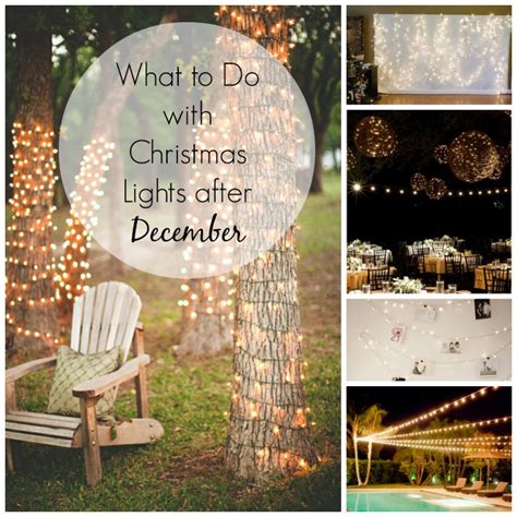 christmas lights  december april golightly