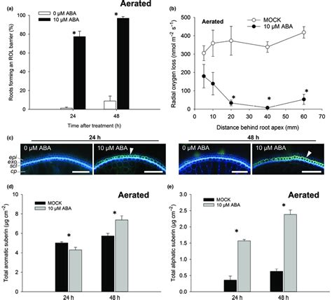 Effects Of Exogenous Abscisic Acid Aba Treatment For Or H Under