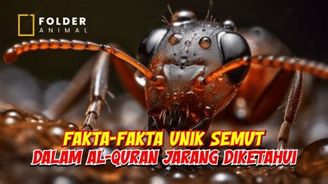 Terungkap Fakta Fakta Unik Tentang Semut Dijelaskan Dalam Al Quran