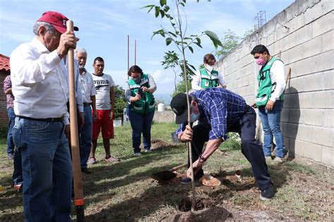 Ayuntamiento De Tuxtla Restaura Y Recupera Arbolado P Blico Ensalada