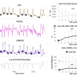 Changes Of Rcbf And Metabolic Variables During Clusters Of Sds In The