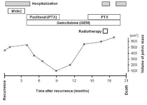 Figure 1 From Effect Of Maintenance Chemotherapy With Gemcitabine And