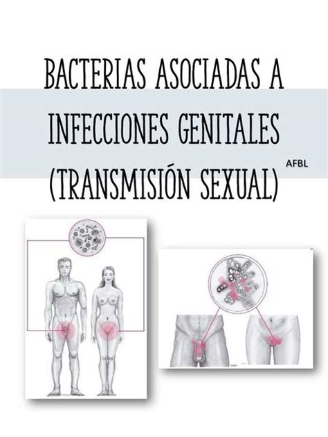 Res Menes De Gardnerella Vaginalis Descarga Apuntes De Gardnerella