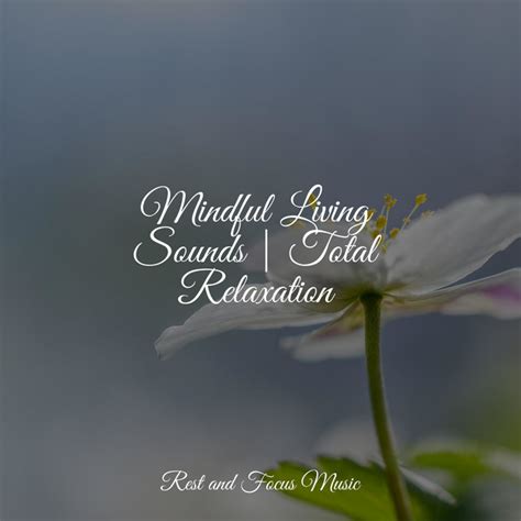 Mindful Living Sounds Total Relaxation Album By M Sica Para Relaxar