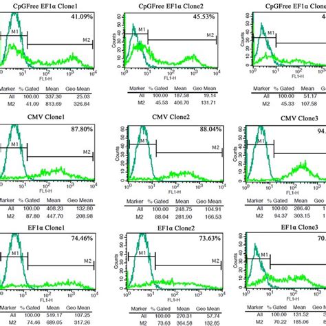 Representative FACS Analysis Of Different Transfected Clones For