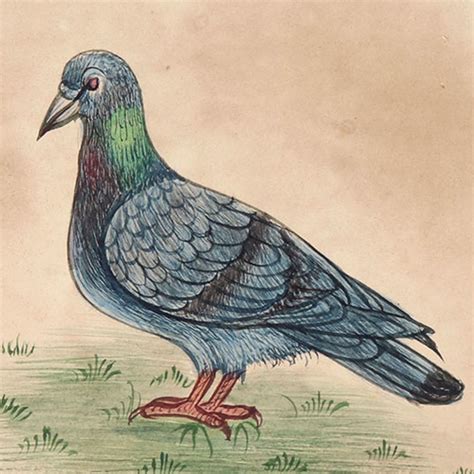 Miniature Pigeon Watercolor Bird Painting Wall Art
