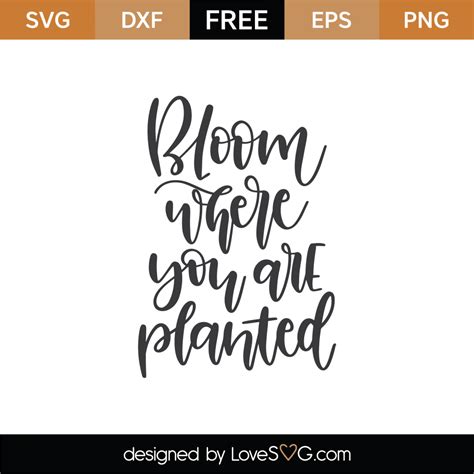 Free Bloom Where You Are Planted SVG Cut File Lovesvg