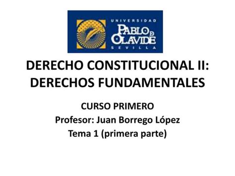 Derecho Constitucional Ii Derechos Fundamentalestema 1 Primera Parte Pptx