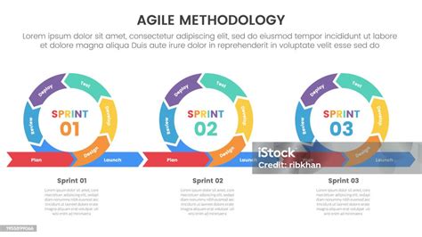 Vetores De Infográfico Da Metodologia Agile Sdlc Modelo De Estágio De 7 Pontos Com Iteração