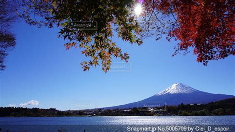 キラキラ輝く河口湖の赤く染まった楓と雪を被った雄大な富士山の写真・画像素材 5005709 Snapmart（スナップマート）