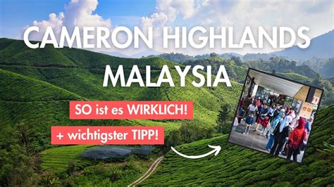 Cameron Highlands Tour Mach Nicht Den Gleichen Fehler Malaysia