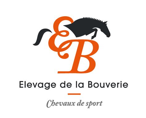 Chevaux Vendre Elevage De La Bouverie