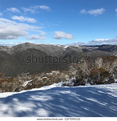 Australian Snowy Mountains Stock Photo Shutterstock