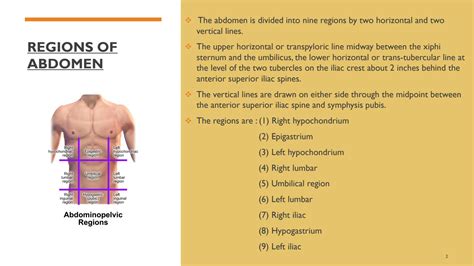 Solution Physical Examination Lower Abdomen Studypool