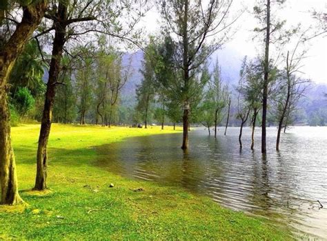 KAKKAYAM DAM CALICUT | KAKKAYAM VALLEY | KARIYATHAN PARA | DAMS NEAR ...