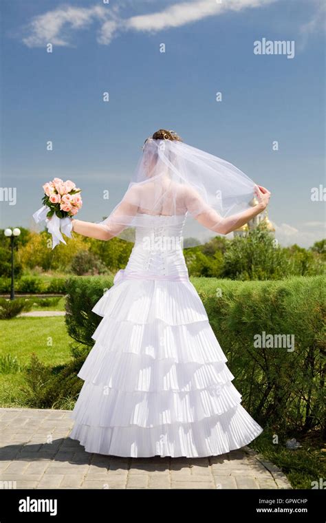back of the bride Stock Photo - Alamy