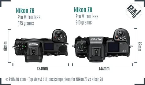 Nikon Z6 Vs Nikon Z8 Detailed Comparison