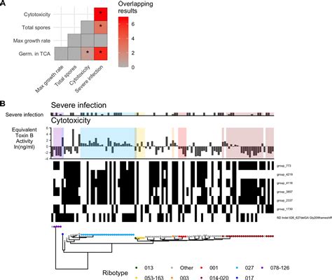 Strain Variation In Clostridioides Difficile Cytotoxicity Associated