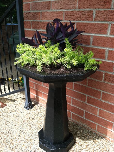 I Had Two Regular Concrete Bird Baths That Were Crying For Creativity So I Purchased