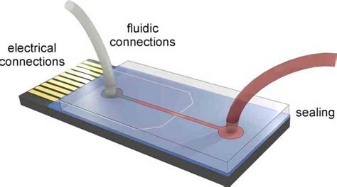 Smart Cards What Are They What Is Their Function And What Are They Used For Bullfrag