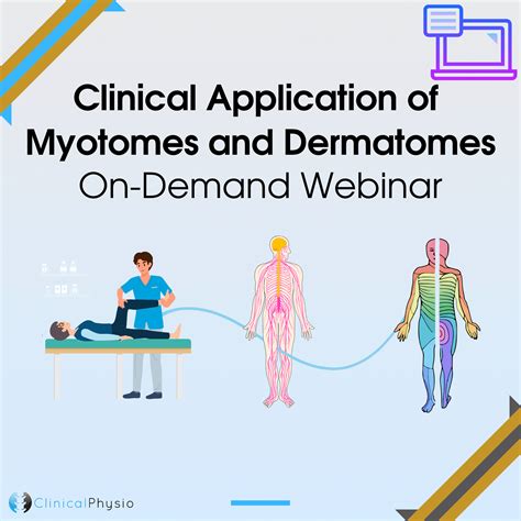 Clinical Application Of Myotomes And Dermatomes On Demand Webinar