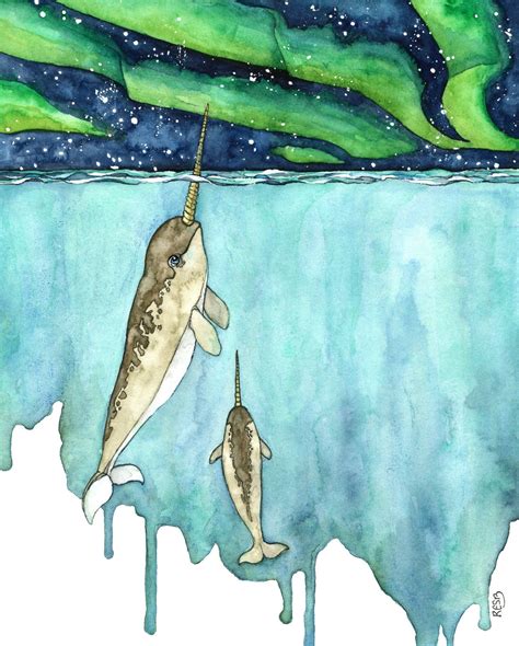 Watercolor Painting Narwhal Painting Narwhal Narwhal Art Etsy