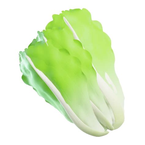 Premium PSD Lettuce Vegetable Organic Natural Fresh