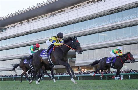 【朝日杯fs】ジャンタルマンタル、関西馬制覇は4年連続23勝目／アラカルト 2歳馬特集 競馬写真ニュース 日刊スポーツ