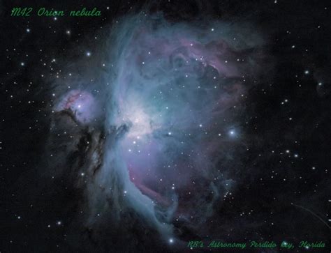 M42 Great Orion Nebula Rodney Bell Astrobin