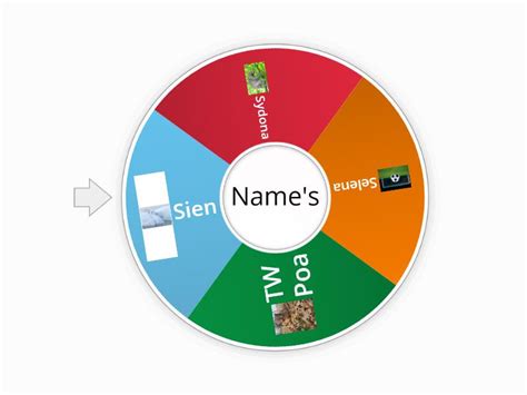 wheel  choice random wheel