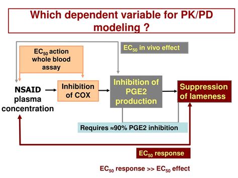 PPT Predictive Value Of PK PD Drug Modelling Application To