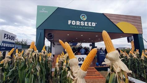 Portal O Novo Oeste Forseed Convida Os Produtores Para Conhecer O