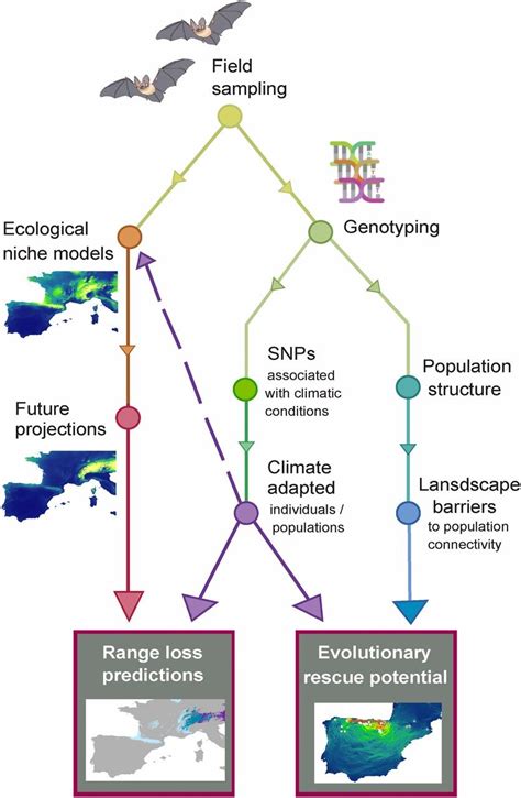 Considering Adaptive Genetic Variation In Climate Change Vulnerability