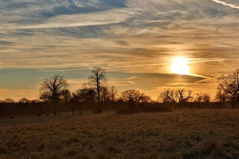 Afternoon Field Wallpapers K Hd Afternoon Field Backgrounds On