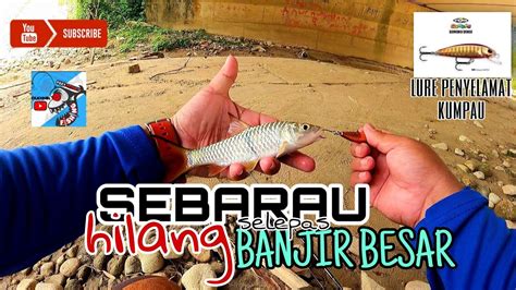 IKAN SEBARAU 89 ULTRALIGHT VS GOMOKU DENSE YouTube