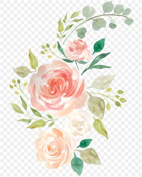 Watercolor Painting Floral Design Flower Rose Png X Px