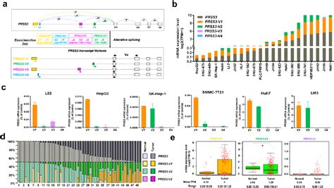 Figure 2 From Epigenetic Dysregulation Of The Expression Of PRSS3