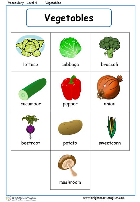 Vegetables English Esl Vocabulary Worksheets Engworksheets Sexiz Pix