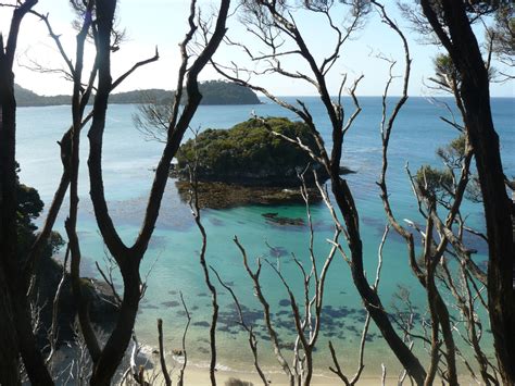 La Tercera Isla De Nueva Zelanda Stewart Island