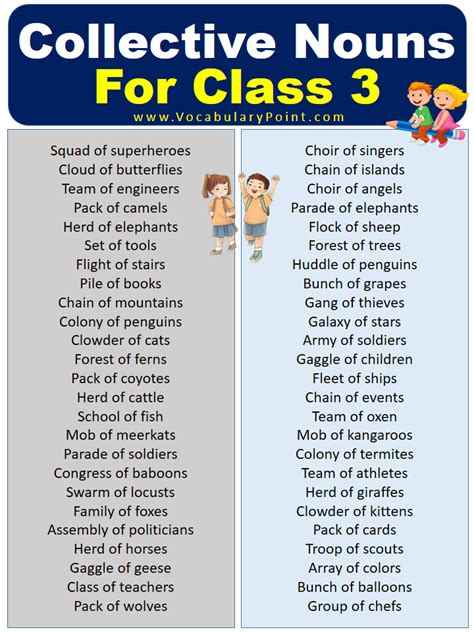 Collective Nouns For Class 3 (With Meaning and Examples) - Vocabulary Point