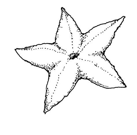 Free Printable Starfish Coloring Pages For Kids