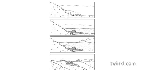 Fossilization Stages Diagram Decay Science Secondary Bw Rgb Illustration