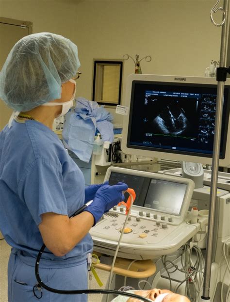 Transesophageal Echocardiography Training For Critical Care Fellows