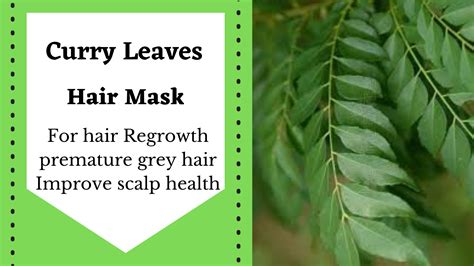 Curry Leaves For Hair