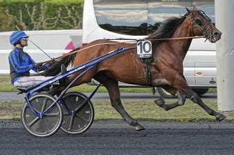 Prix de Sélection Idao de Tillard marche sur l eau Trot Zone Turf fr